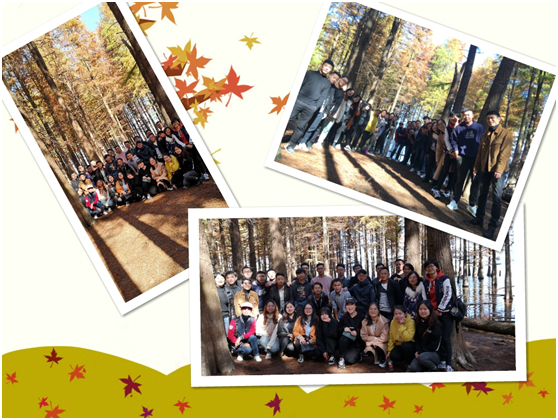 1543972799523367.jpg 12.jpg