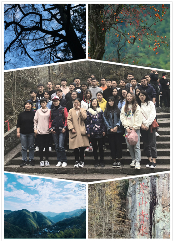 1543972891900263.jpg 15.jpg