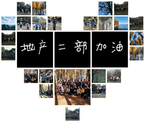 1543972933876463.jpg 16.jpg