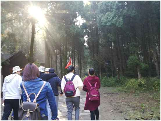 1543974390228178.jpg 11.jpg