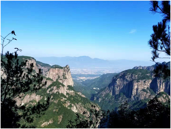 1543974421760944.jpg 12.jpg