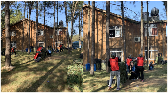 1543974452921281.jpg 13.jpg