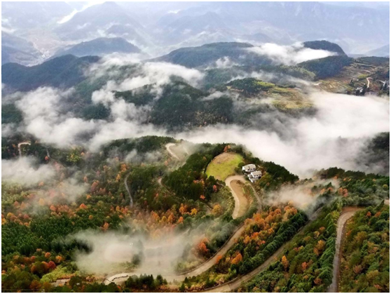 1543974493952468.jpg 15.jpg