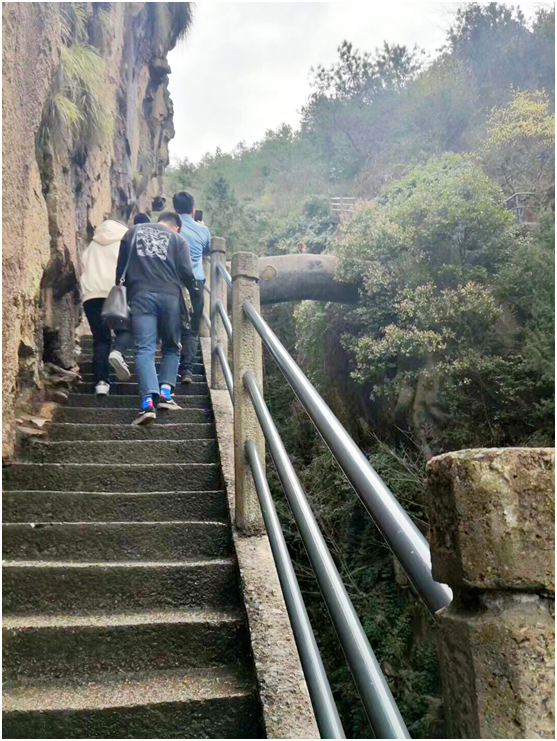 1553742446802740.jpg 11.jpg