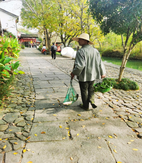 1576037105139509.png 13.png