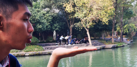 1576037140930605.png 14.png