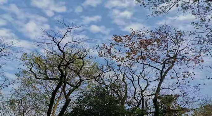 1576287513113948.png 12.png