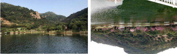 1604363462102312.png 11.png