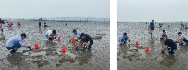 1604992885132731.png 666666.png