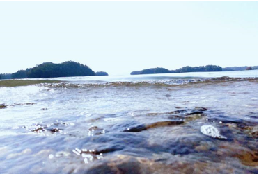 1604999164378335.png 13.png