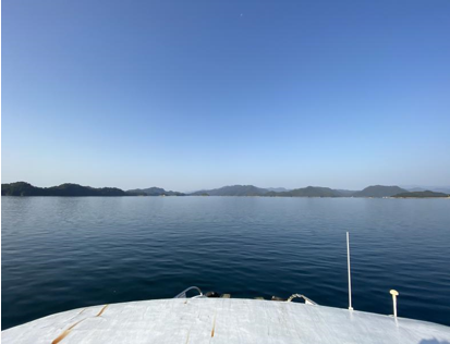 1604999253218171.png 15.png